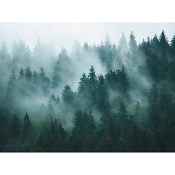 Galerie Wallcoverings Product Code WH45263M - Welcome Home Murals Wallpaper Collection - Blue, Green, Black Colours -  